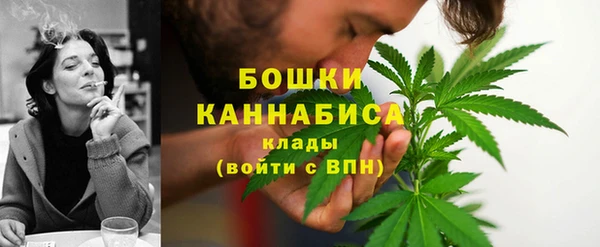 шишки Пересвет
