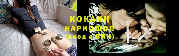 шишки Пересвет