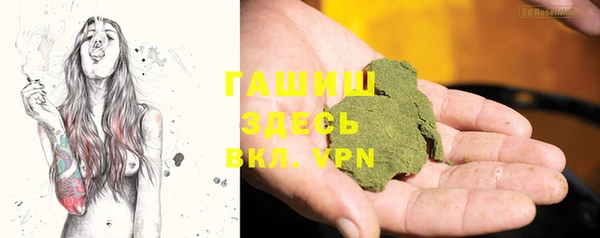 шишки Пересвет