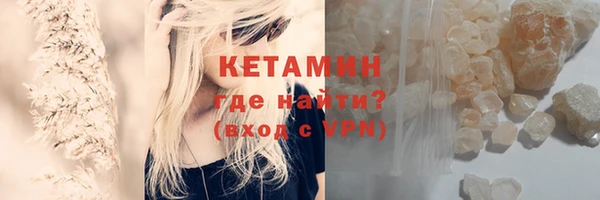 шишки Пересвет