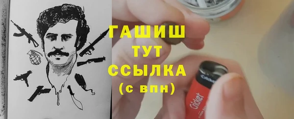 шишки Пересвет