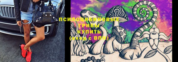 шишки Пересвет
