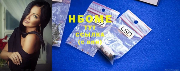 шишки Пересвет