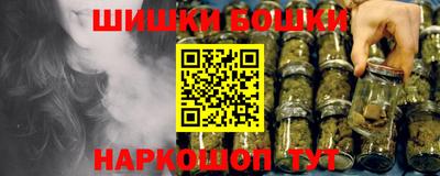 СК Дубна