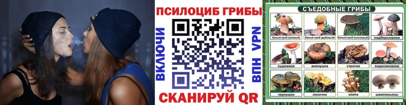 Псилоцибиновые грибы Cubensis  Балашов 