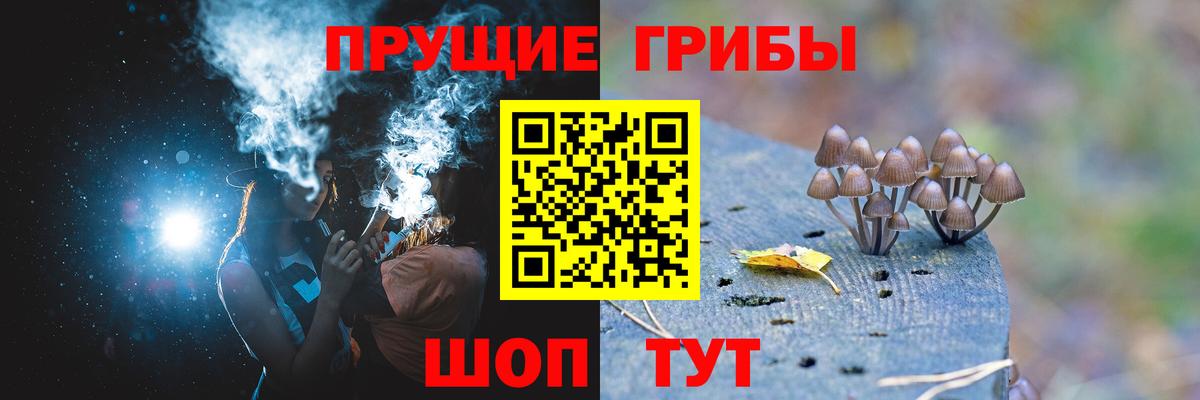 Галлюциногенные грибы мухоморы Балашов